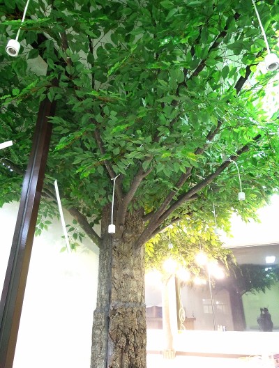 수원 자동차 리스점